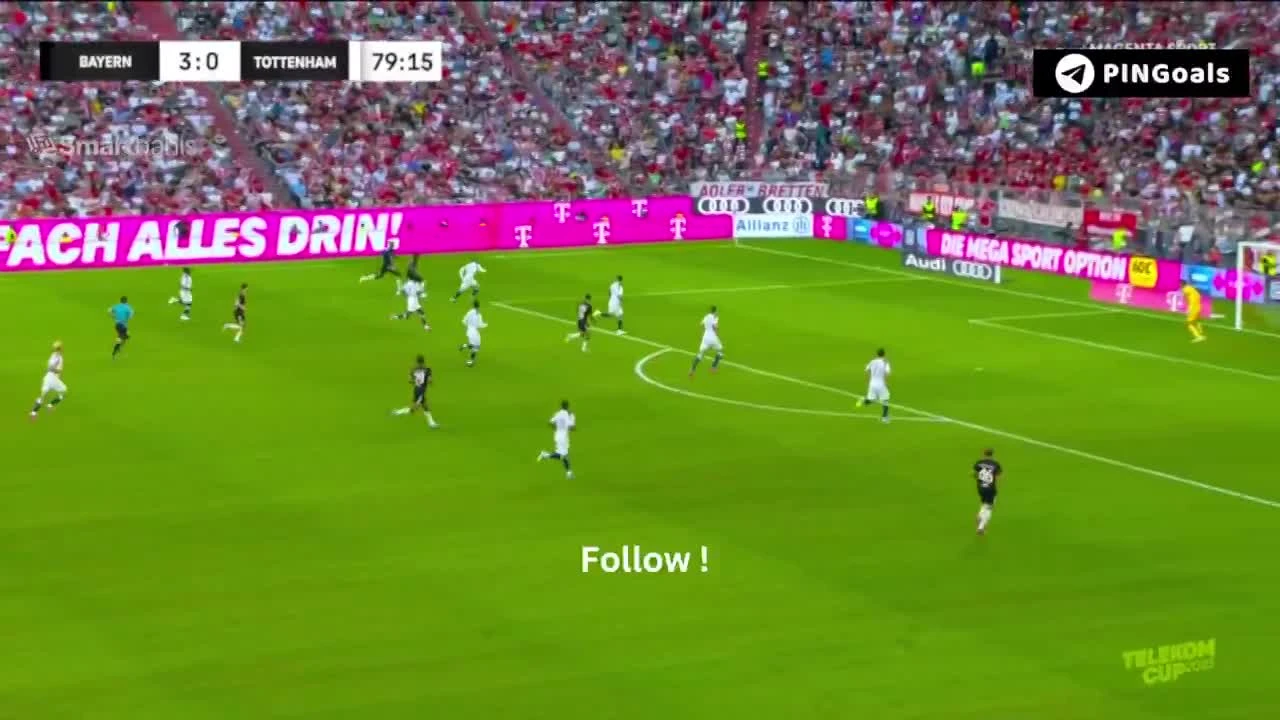 zaslepka skrotu video