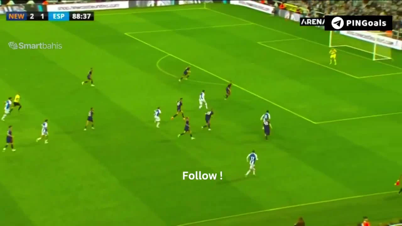 zaslepka skrotu video