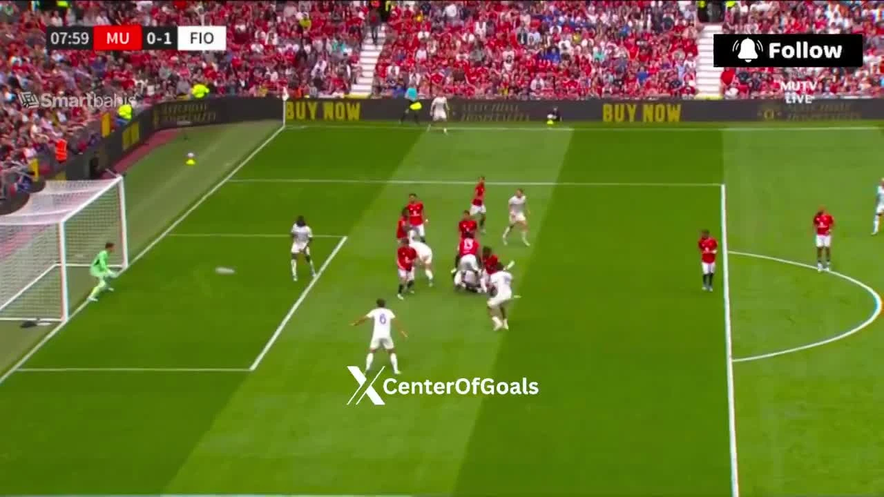 zaslepka skrotu video