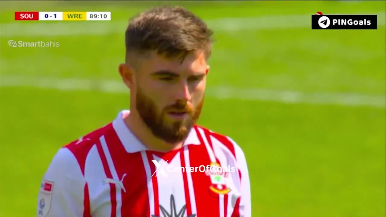 zaslepka skrotu video