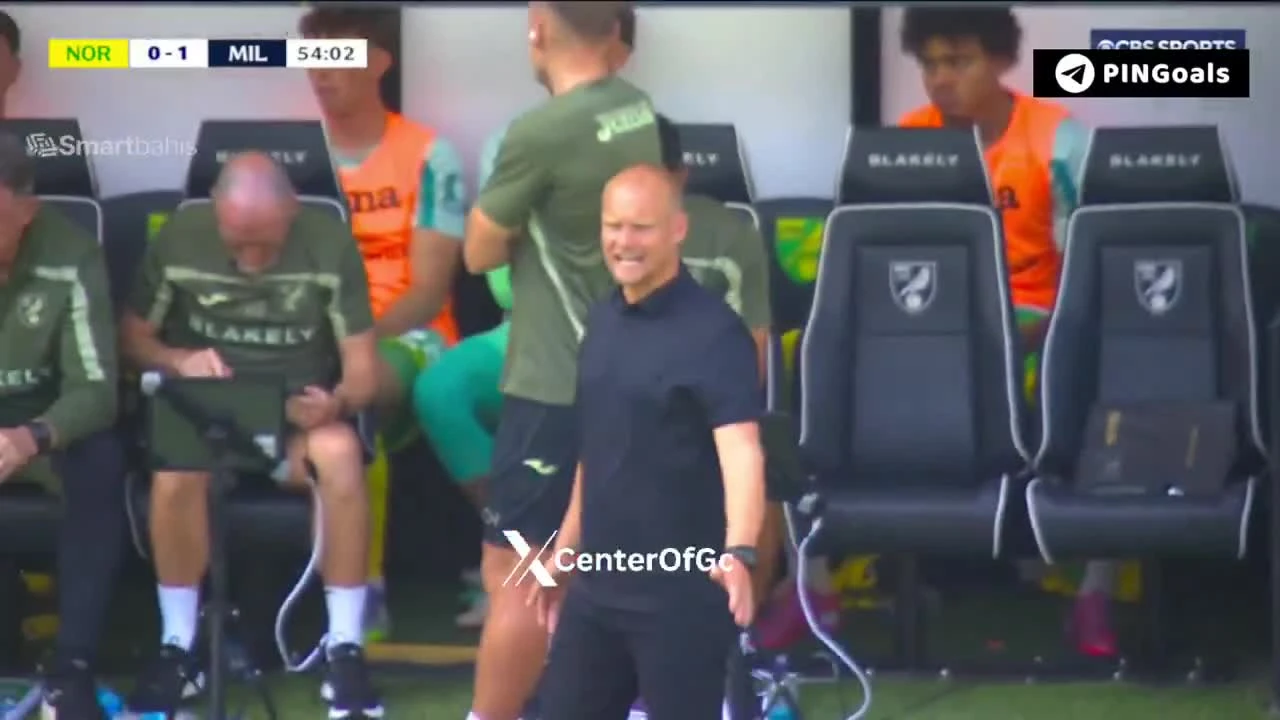 zaslepka skrotu video