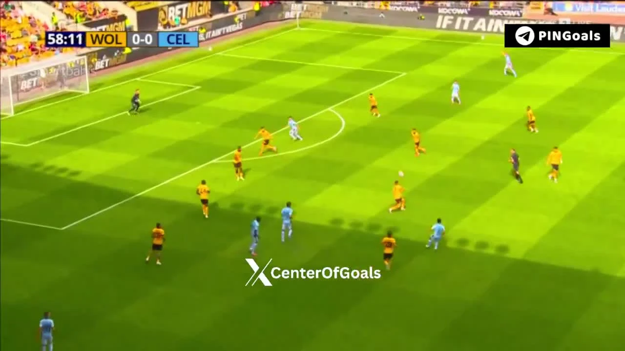 zaslepka skrotu video