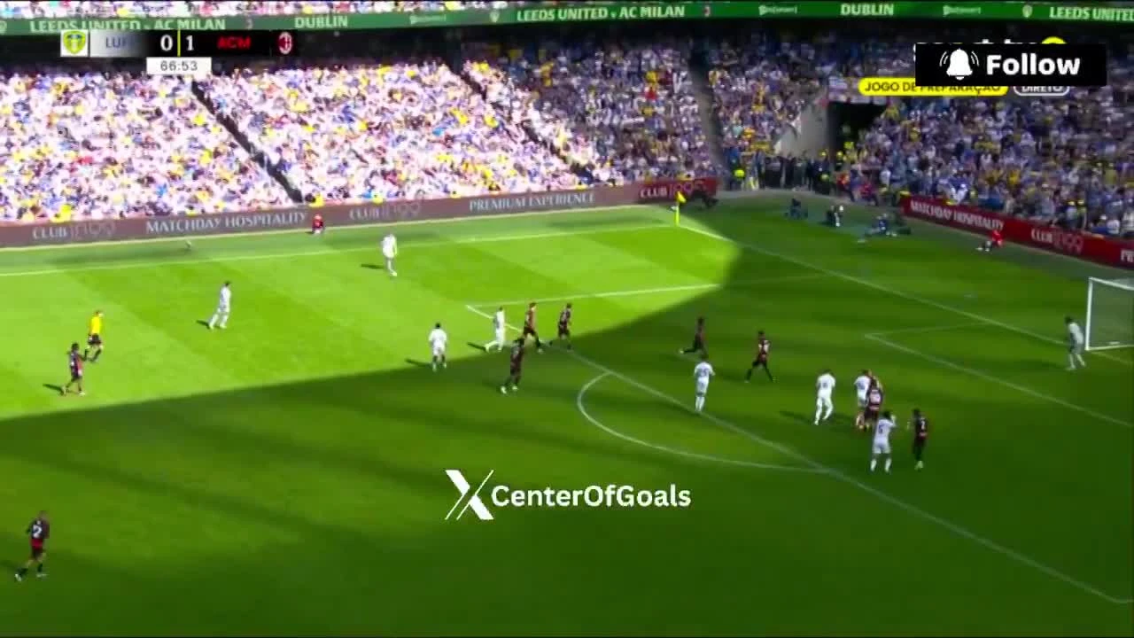 zaslepka skrotu video