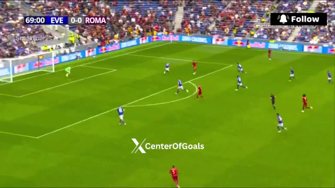 zaslepka skrotu video