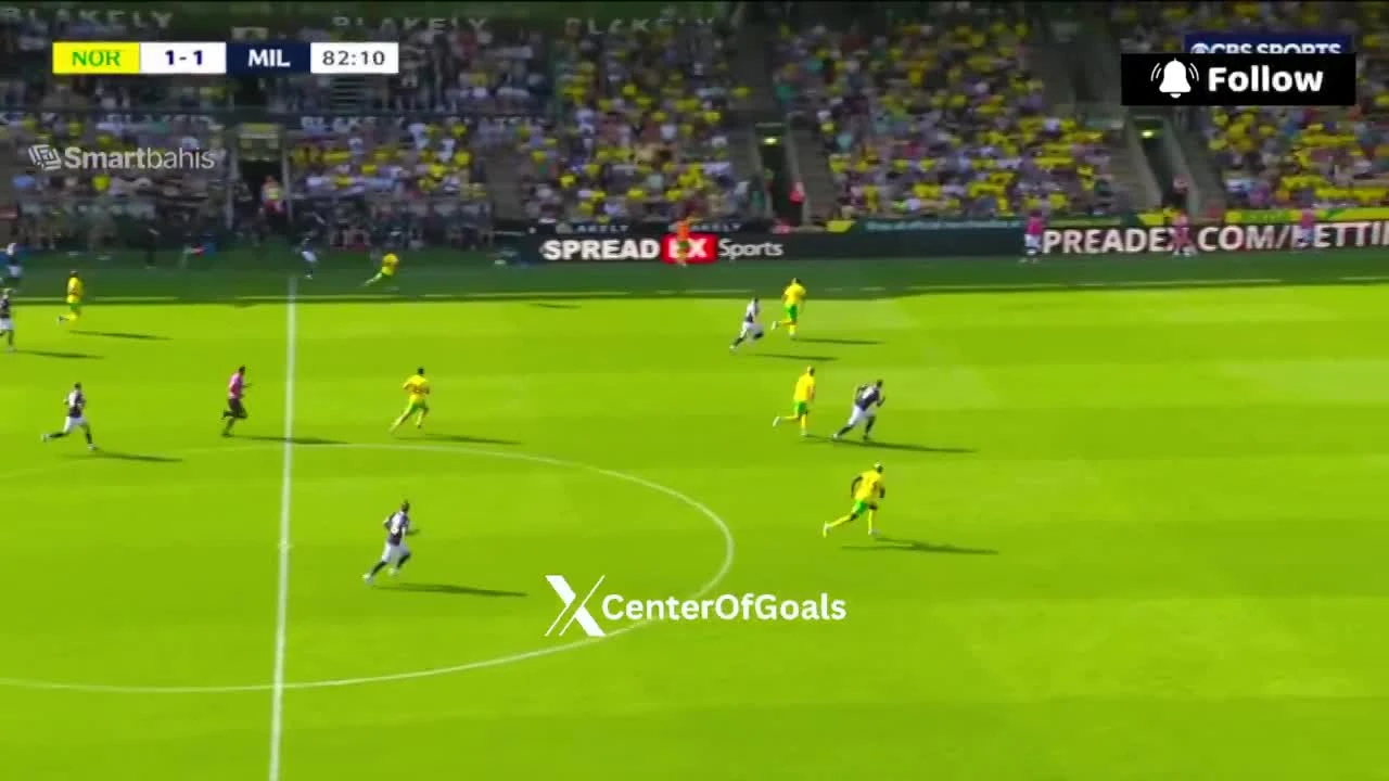 zaslepka skrotu video