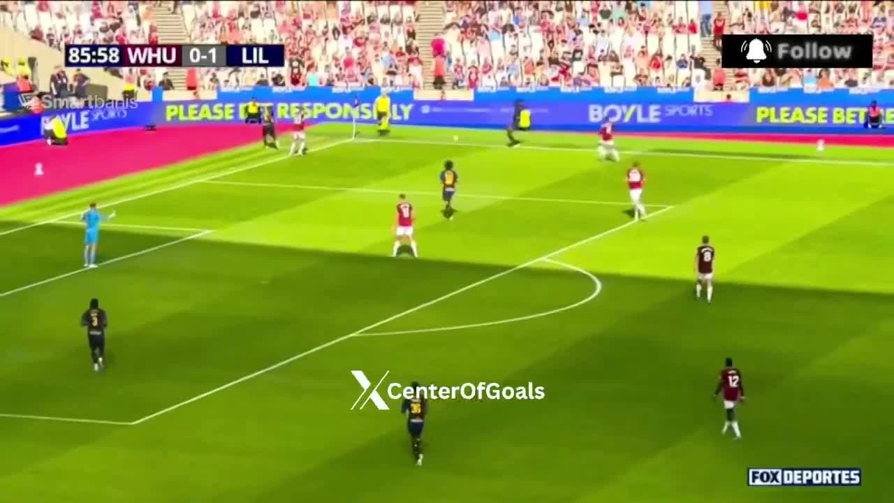 zaslepka skrotu video