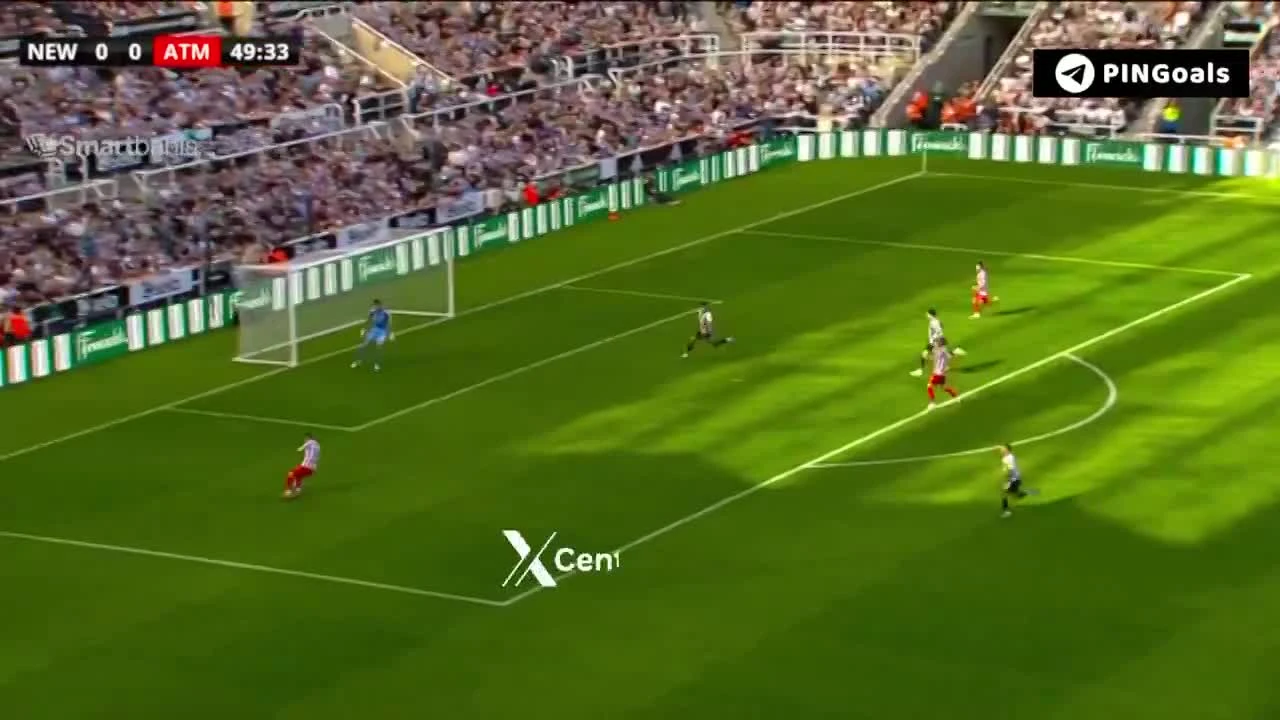 zaslepka skrotu video