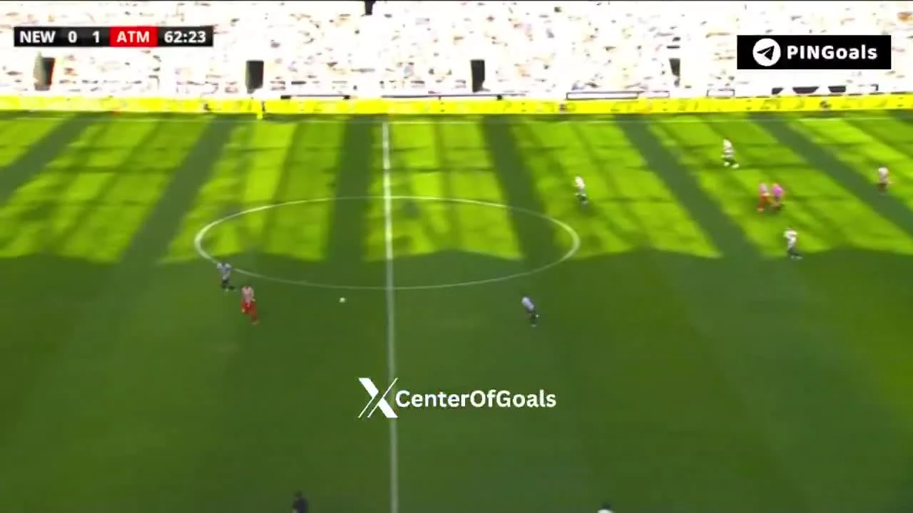 zaslepka skrotu video