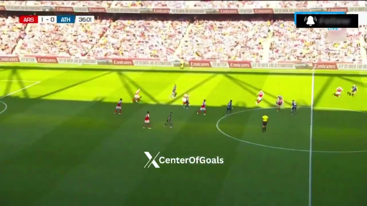 zaslepka skrotu video