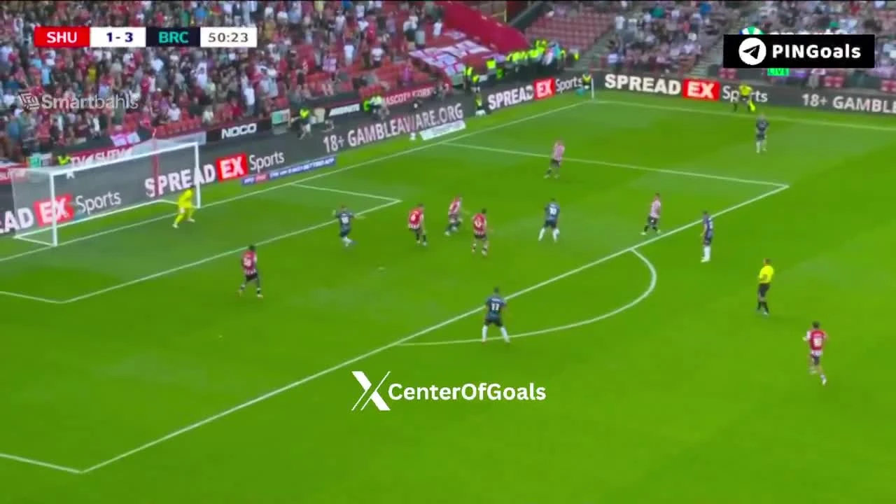 zaslepka skrotu video