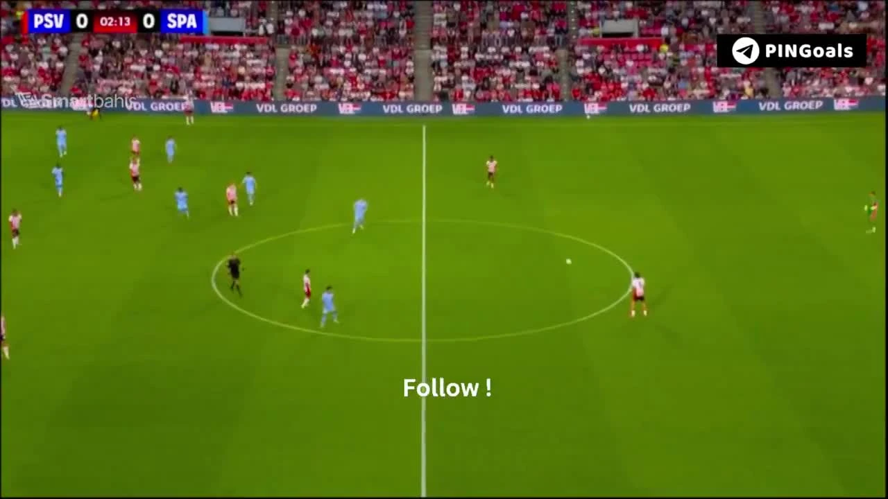zaslepka skrotu video