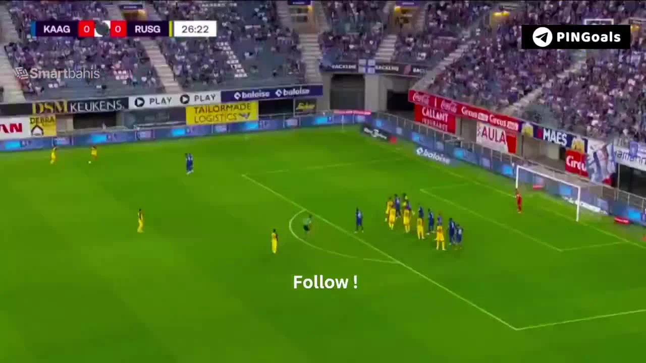 zaslepka skrotu video