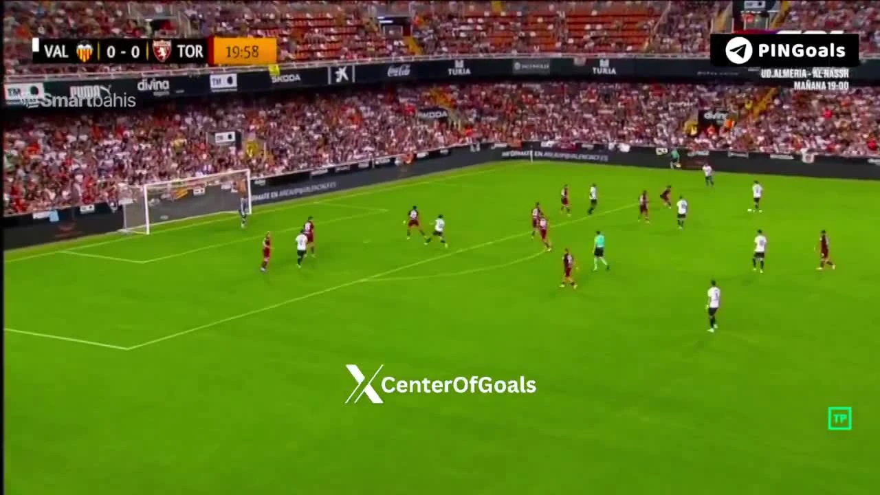 zaslepka skrotu video