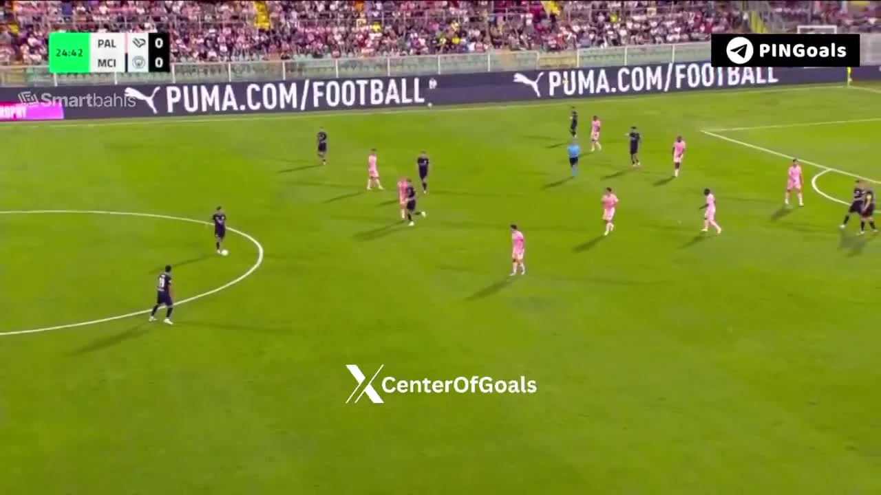 zaslepka skrotu video