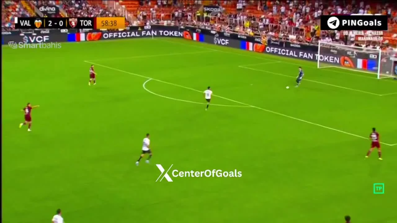 zaslepka skrotu video