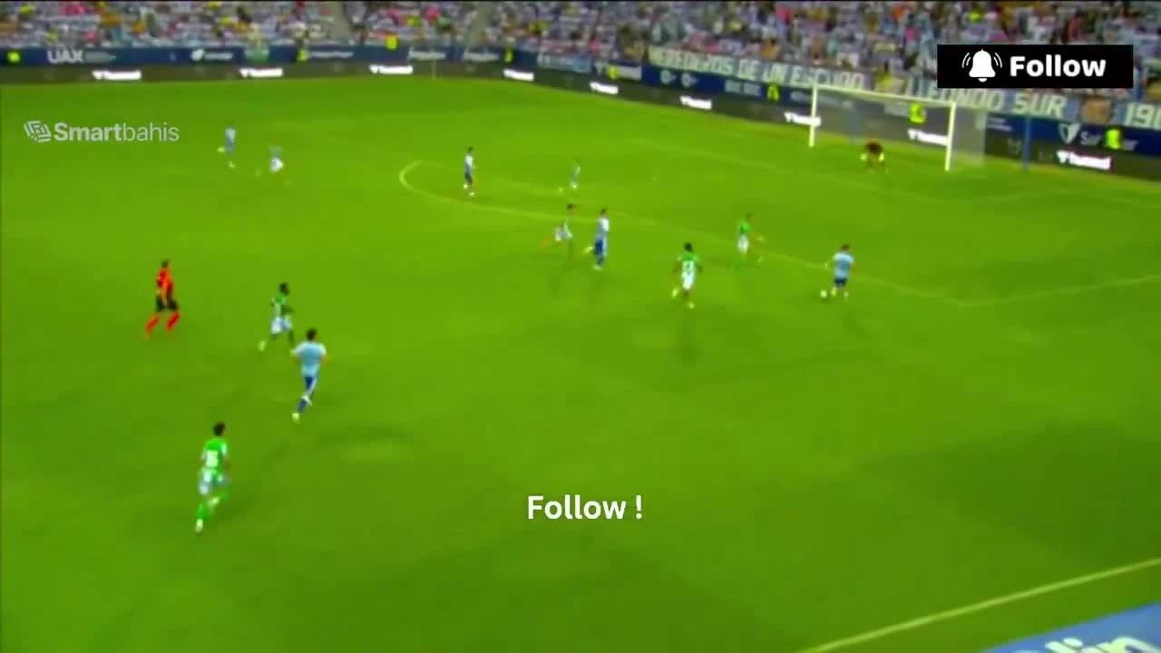 zaslepka skrotu video