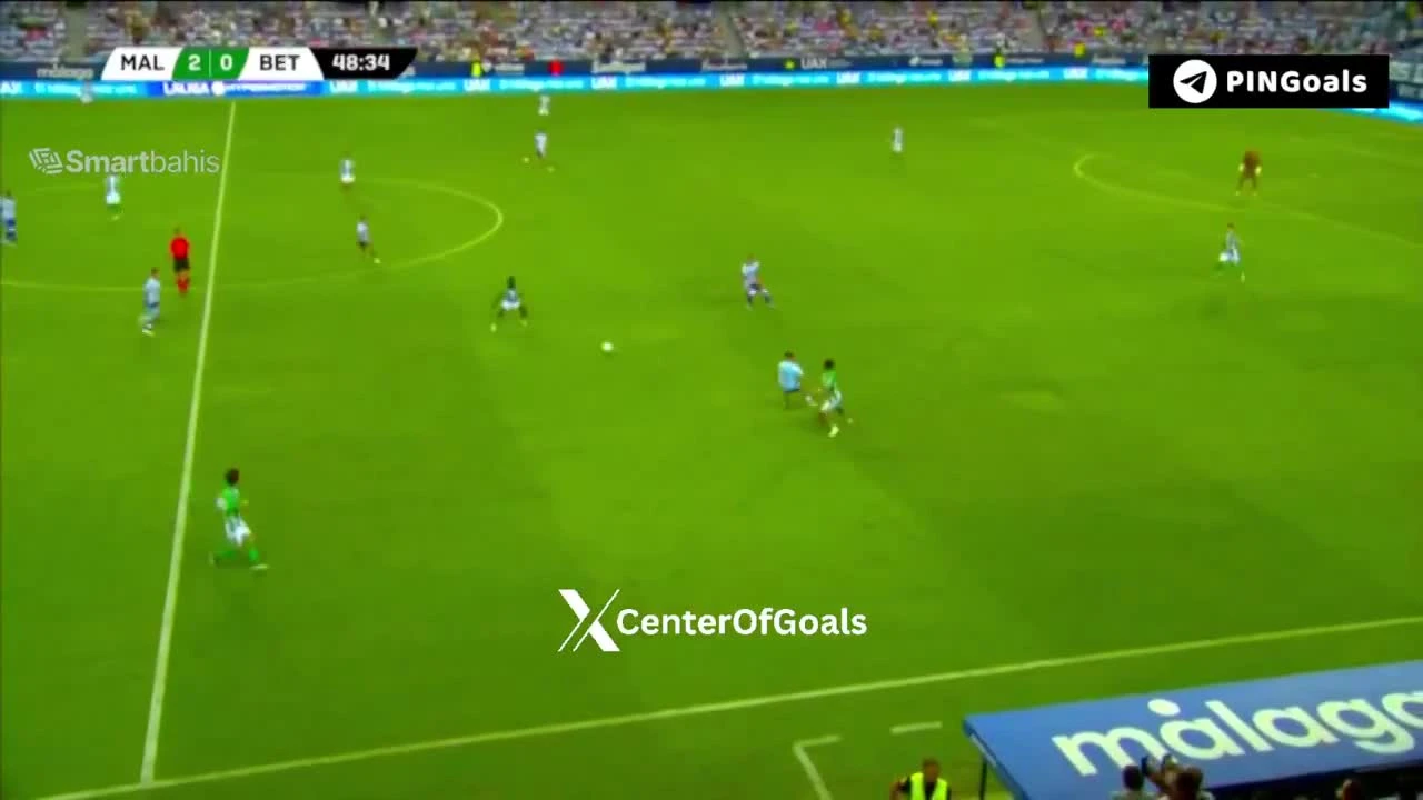 zaslepka skrotu video