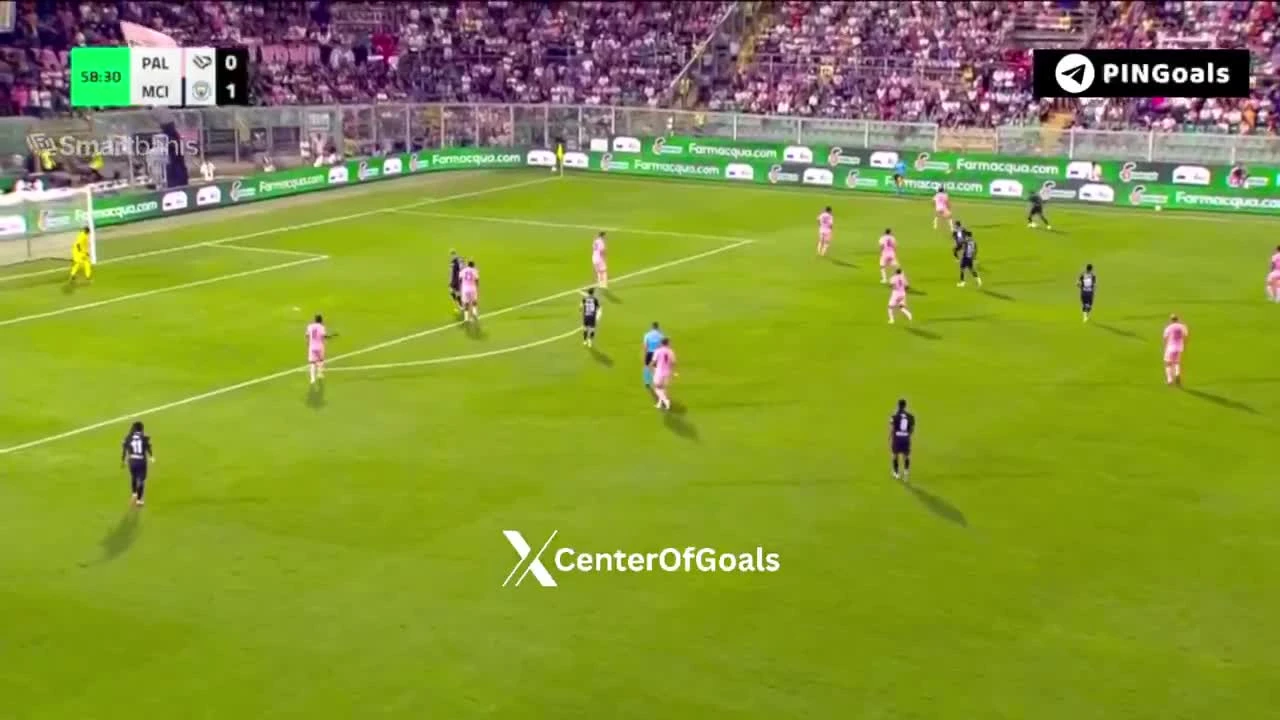 zaslepka skrotu video