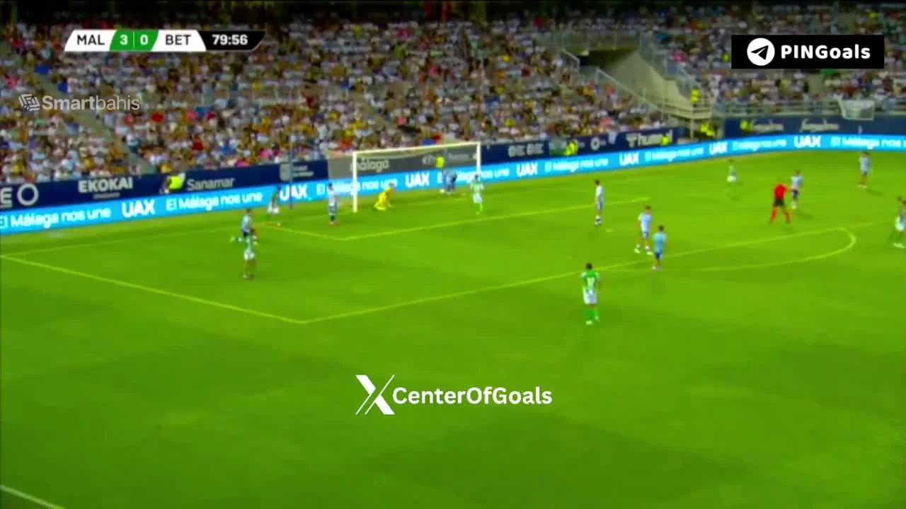 zaslepka skrotu video