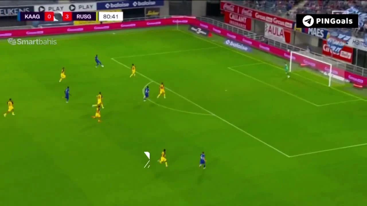 zaslepka skrotu video