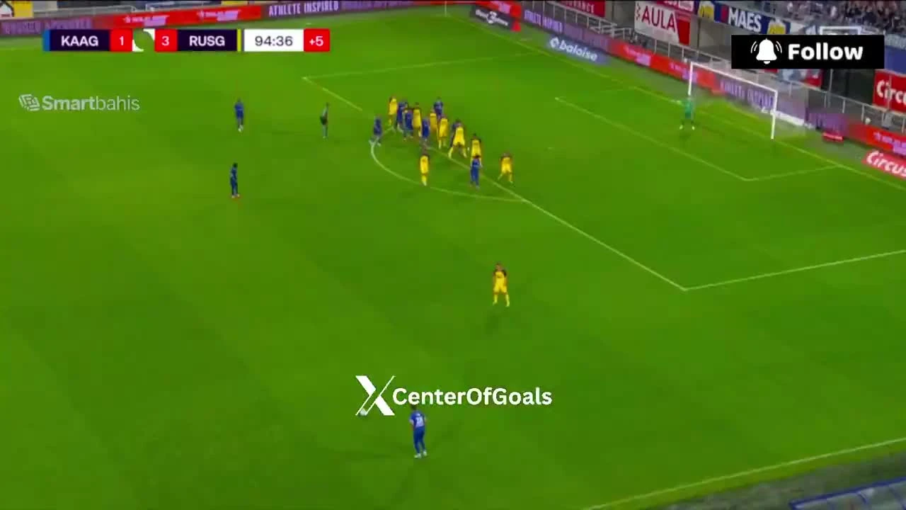 zaslepka skrotu video
