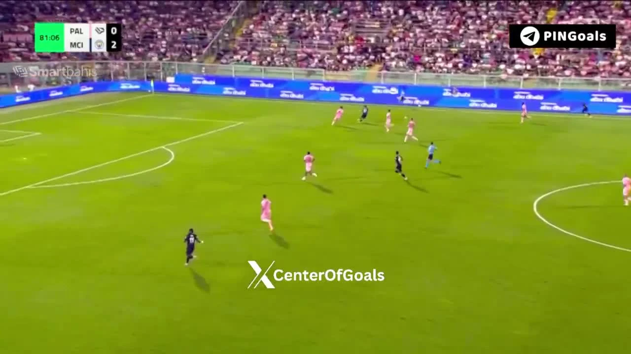 zaslepka skrotu video