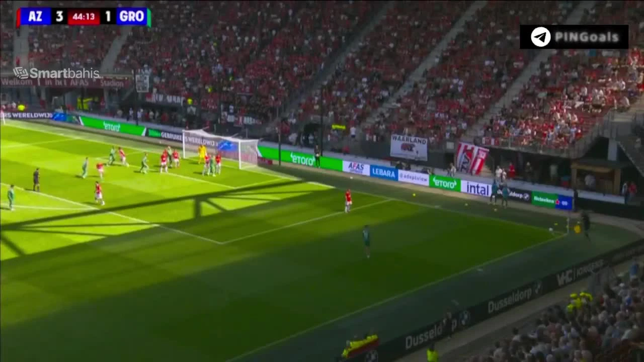 zaslepka skrotu video