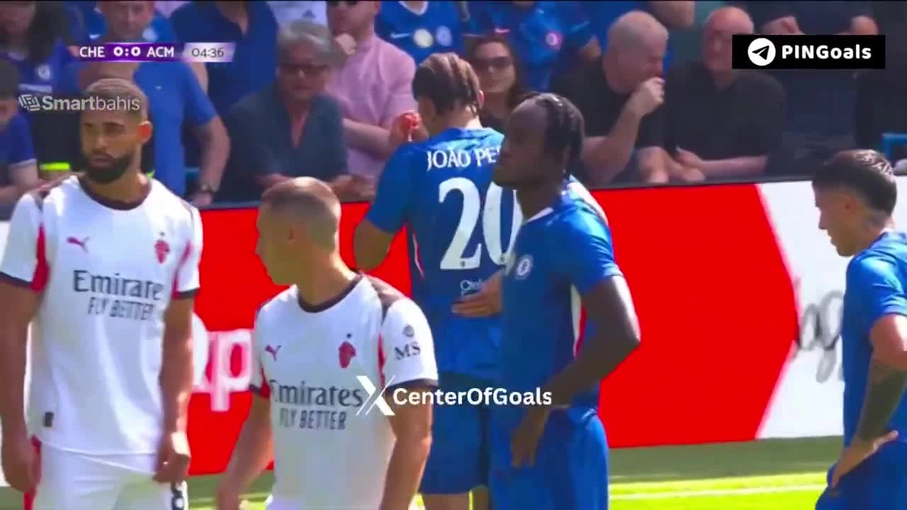 zaslepka skrotu video