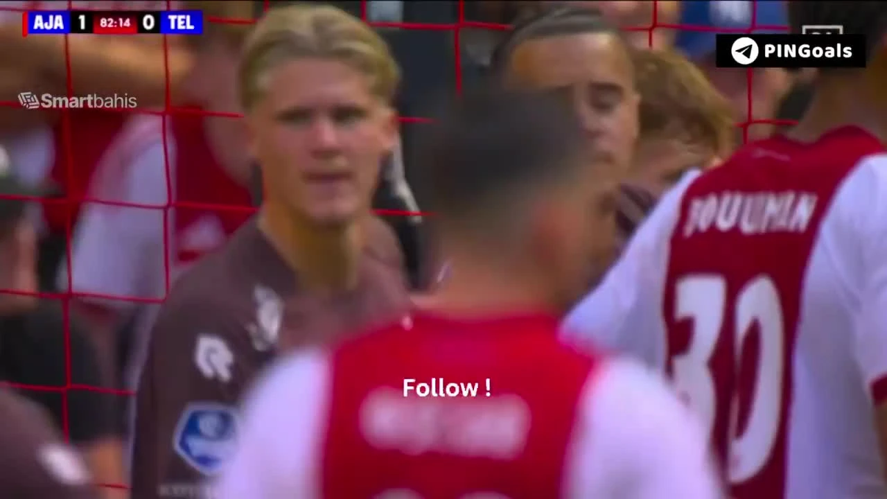 zaslepka skrotu video