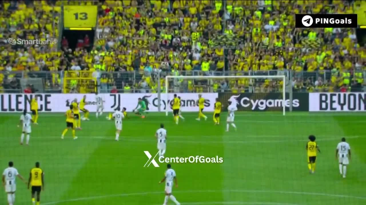 zaslepka skrotu video