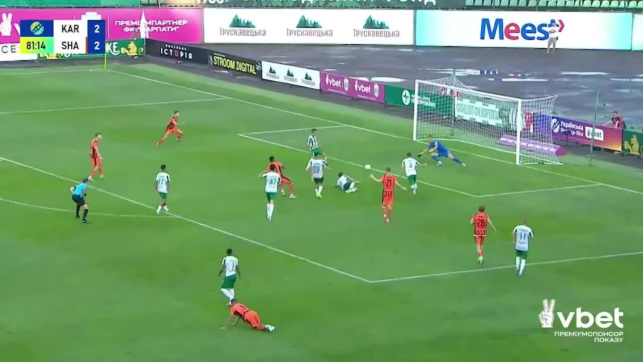 zaslepka skrotu video