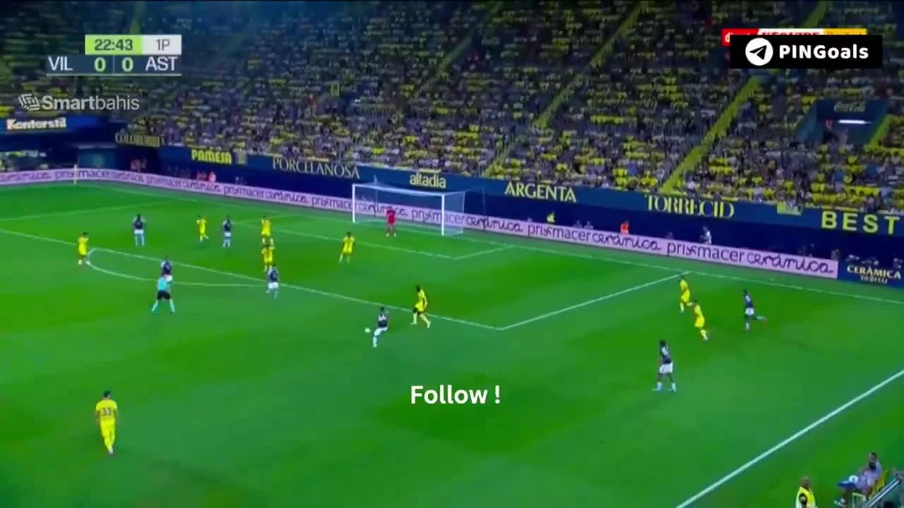 zaslepka skrotu video