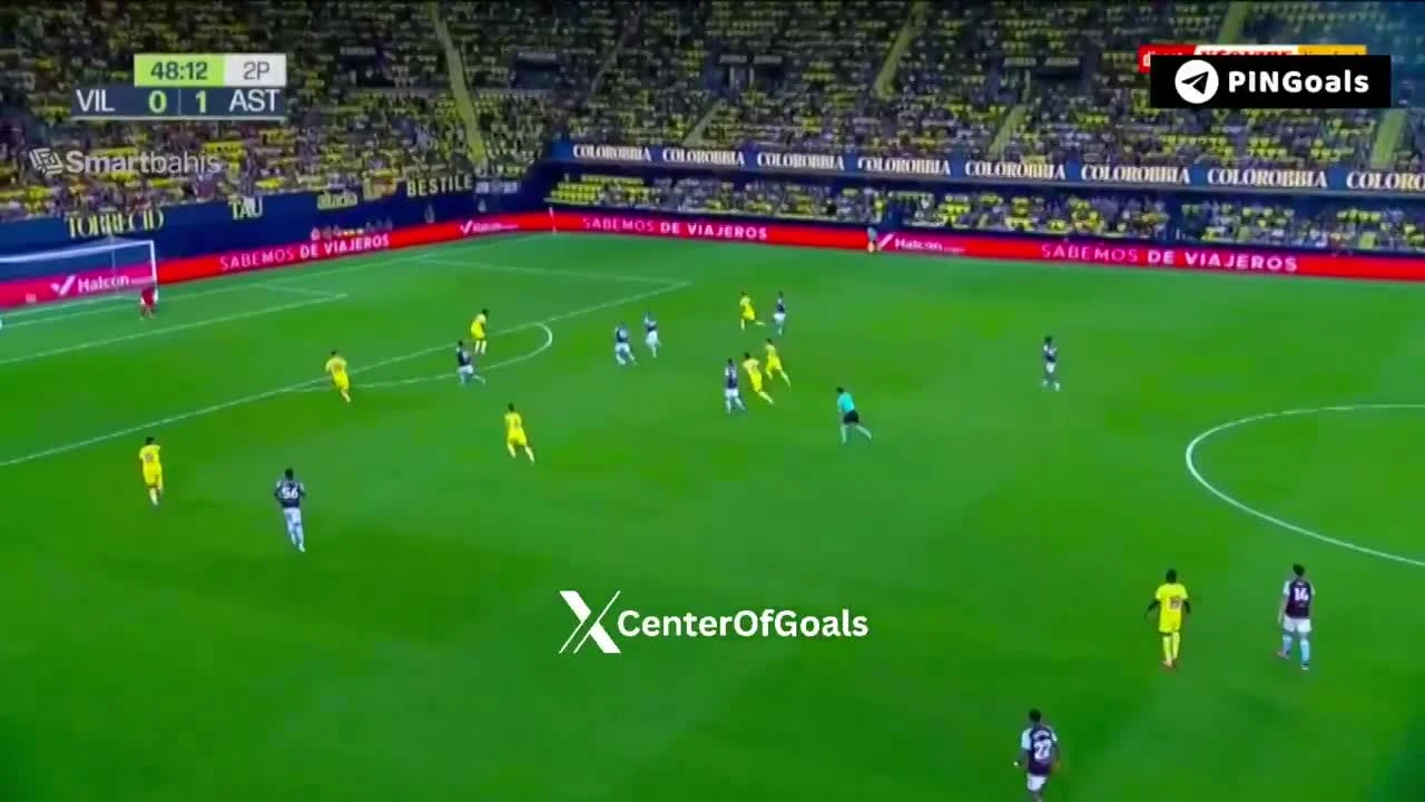 zaslepka skrotu video
