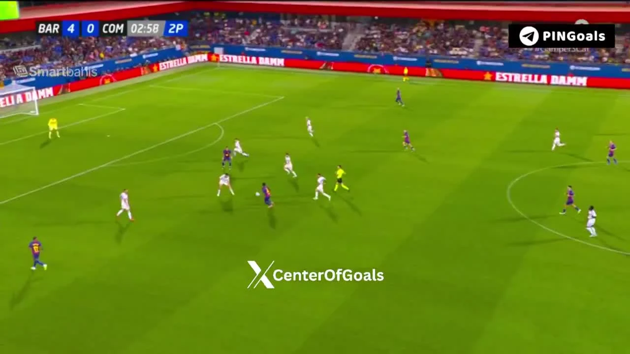 zaslepka skrotu video