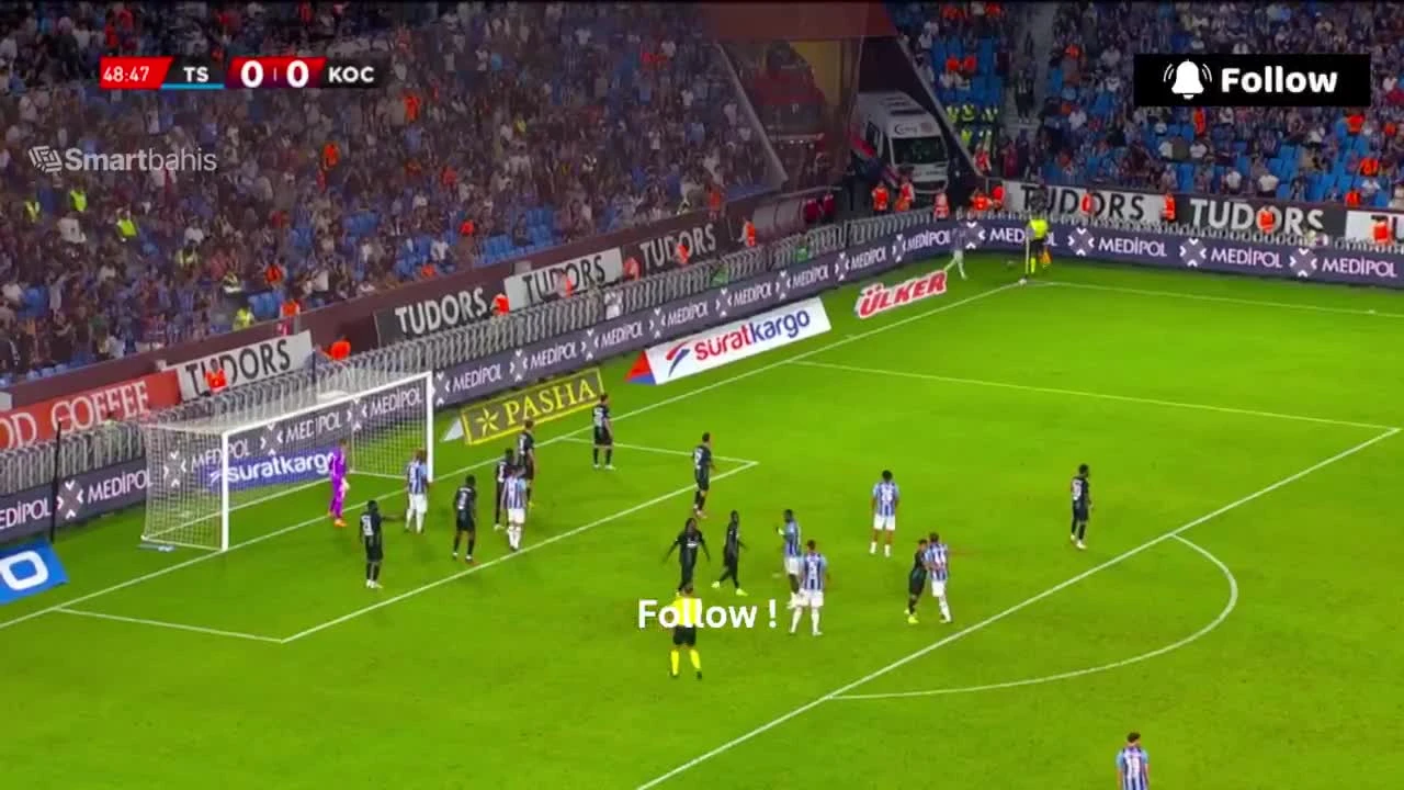 zaslepka skrotu video