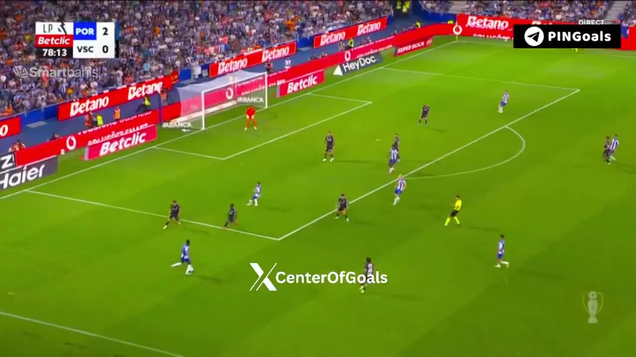 zaslepka skrotu video