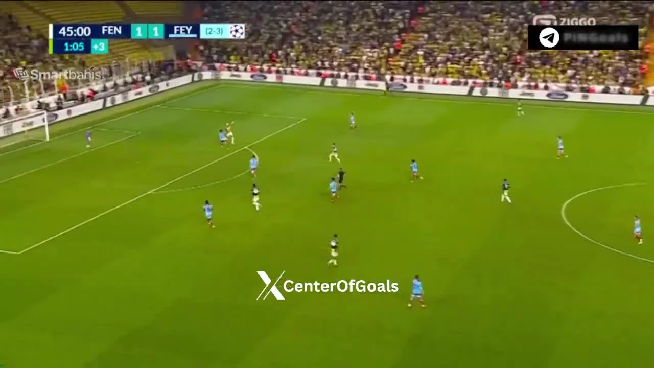 zaslepka skrotu video