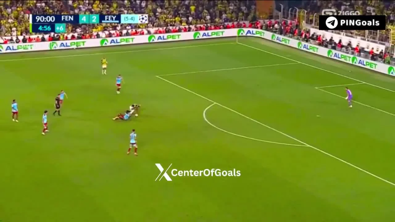 zaslepka skrotu video