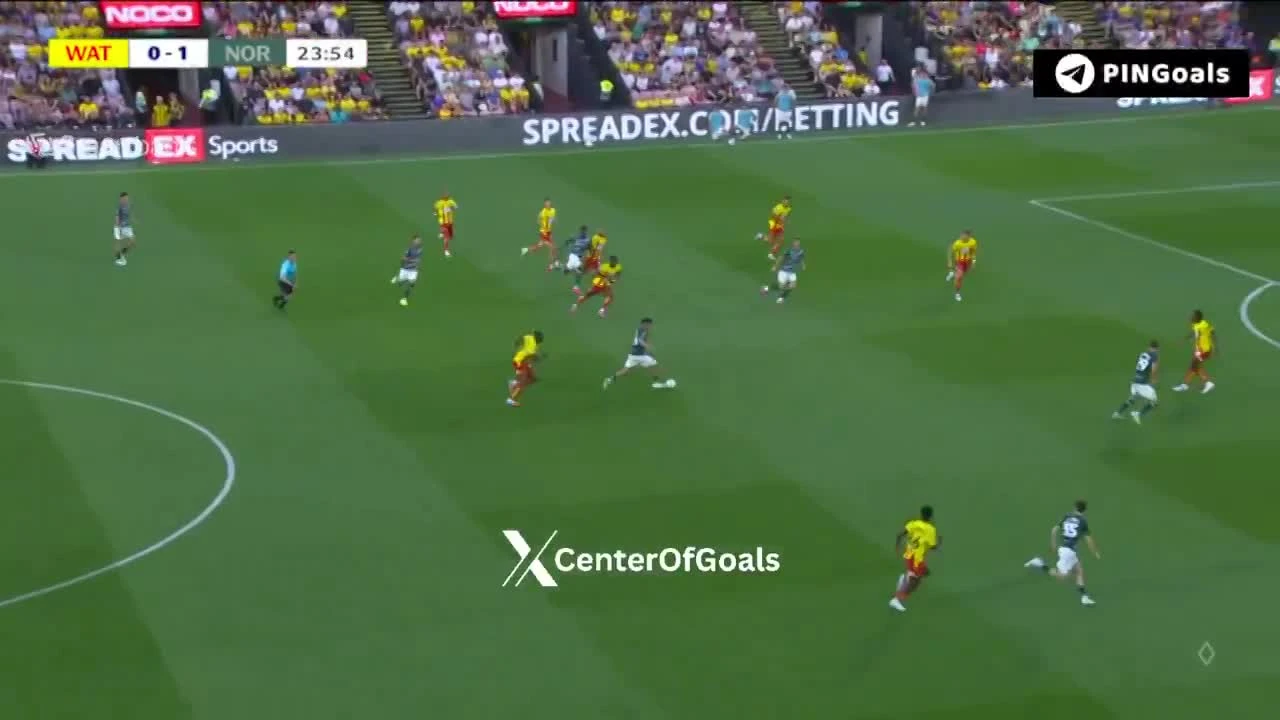 zaslepka skrotu video