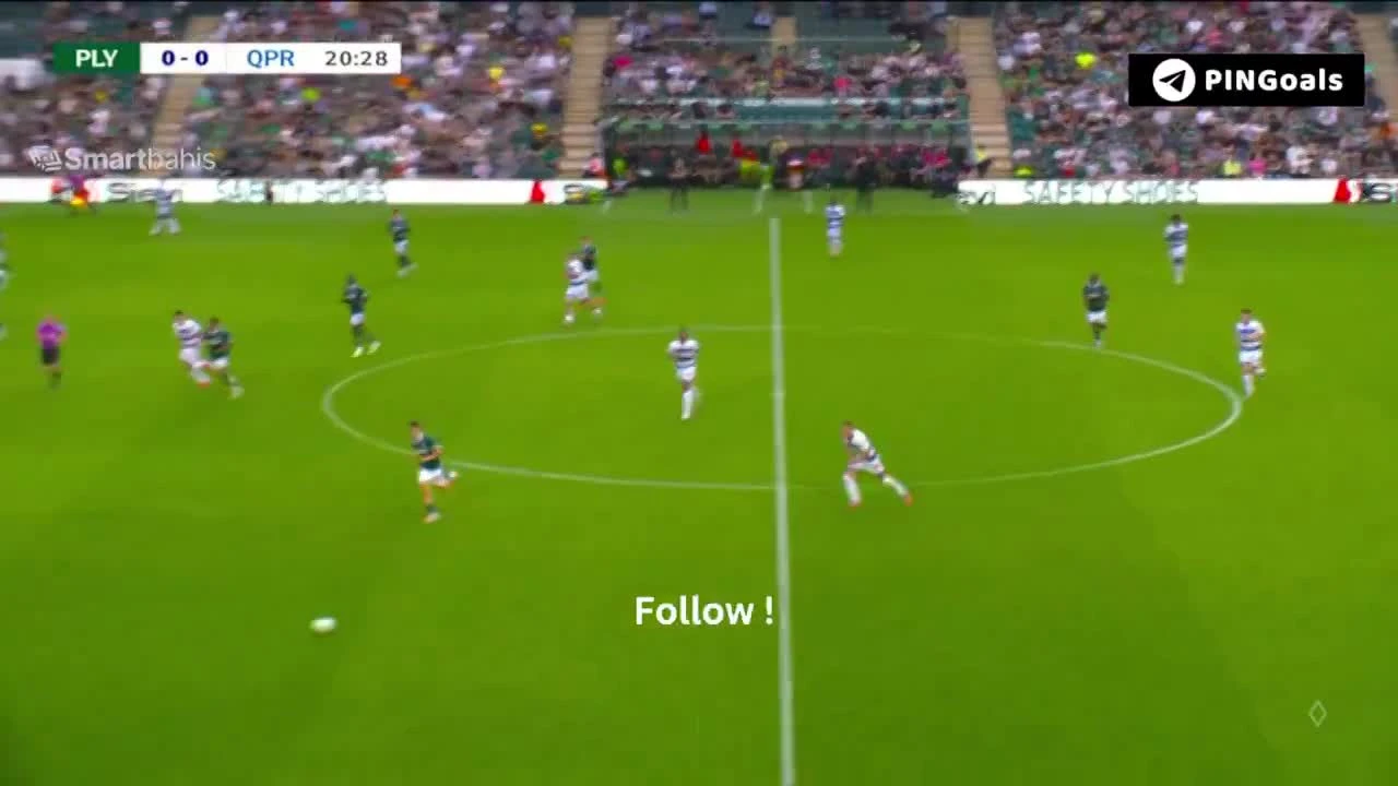 zaslepka skrotu video