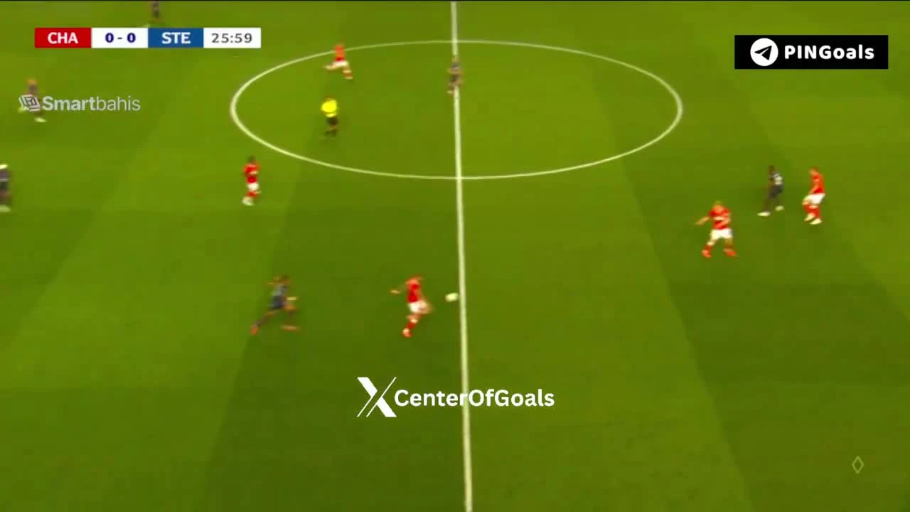 zaslepka skrotu video