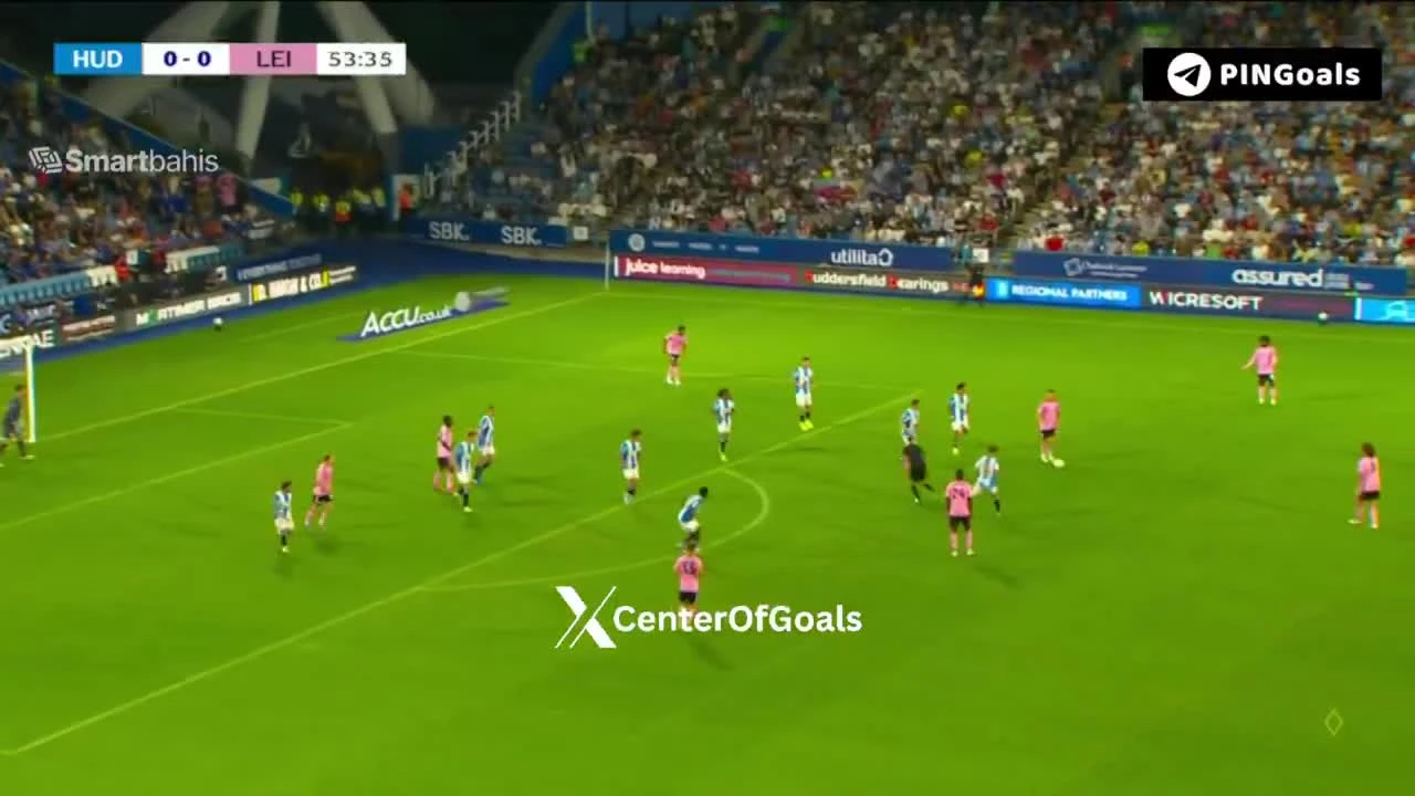 zaslepka skrotu video