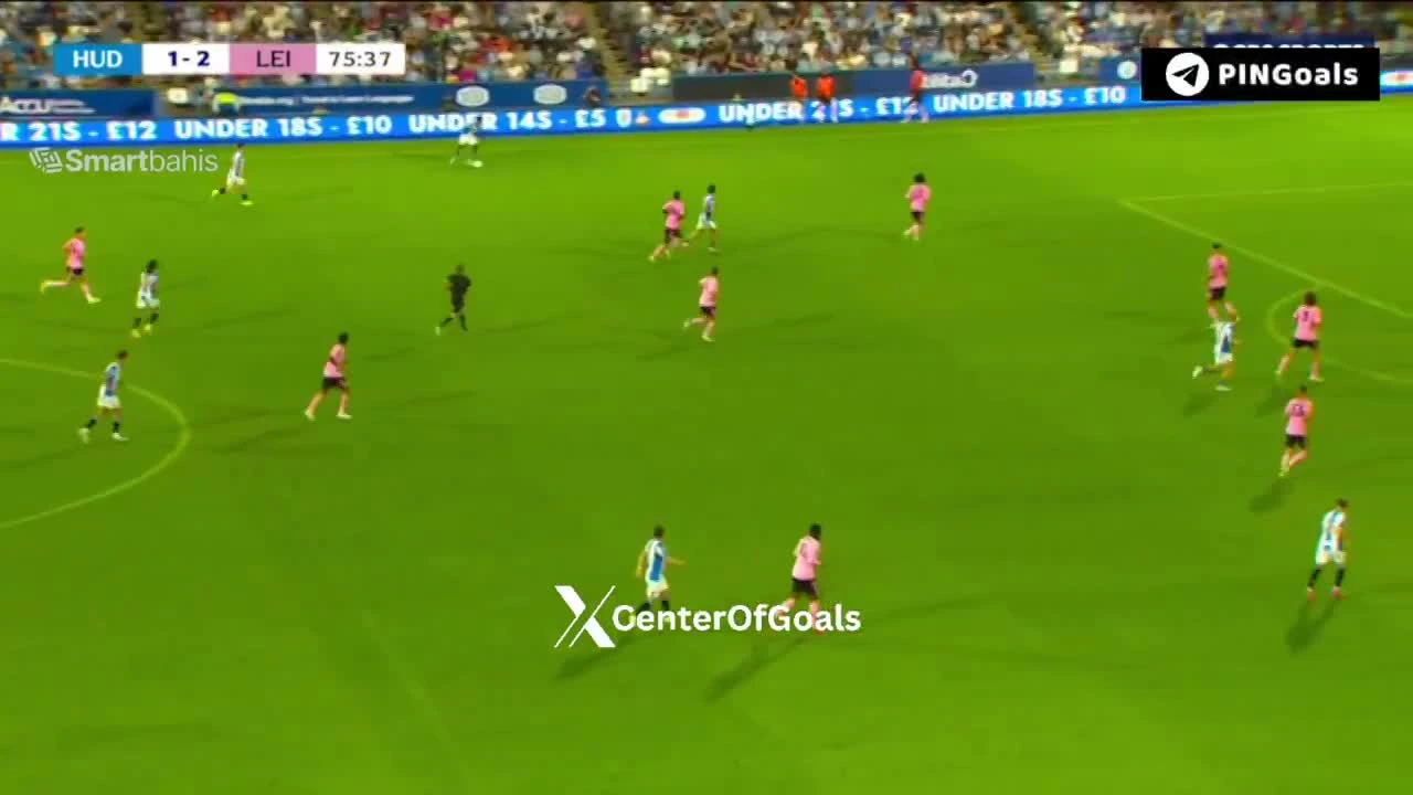 zaslepka skrotu video