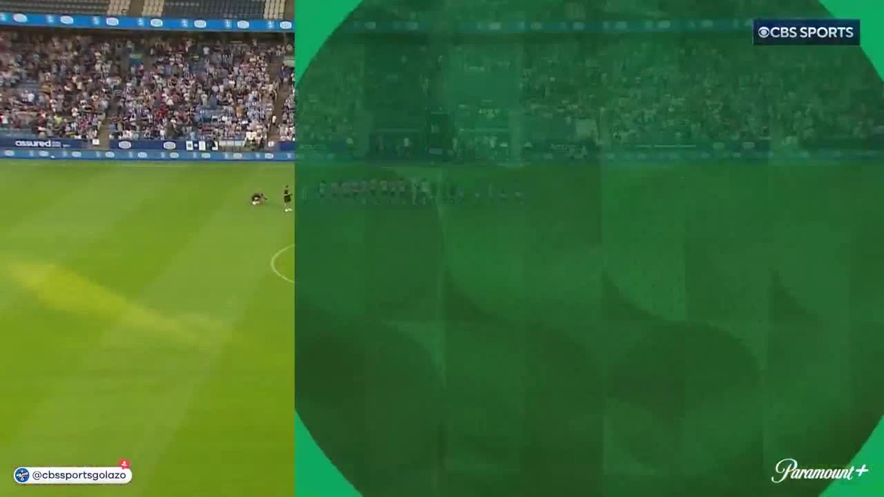 zaslepka skrotu video