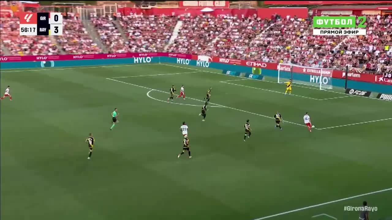 zaslepka skrotu video