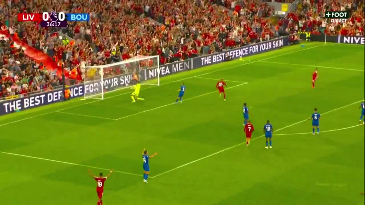 zaslepka skrotu video