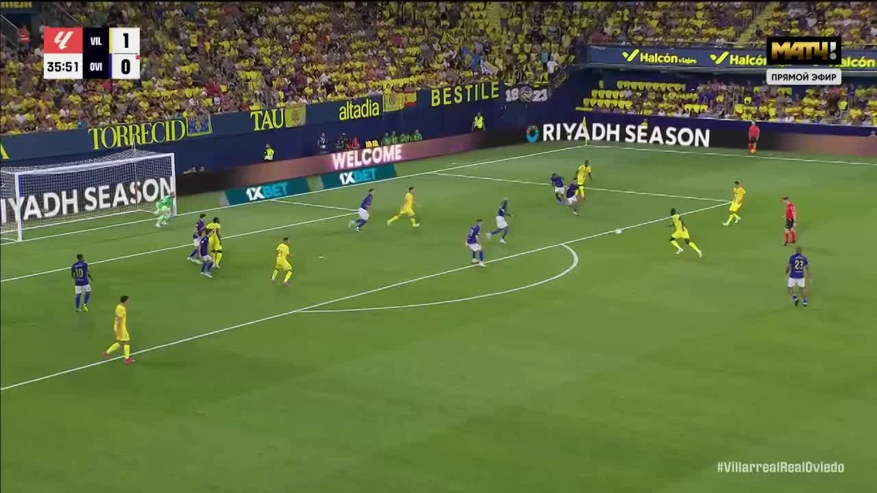 zaslepka skrotu video