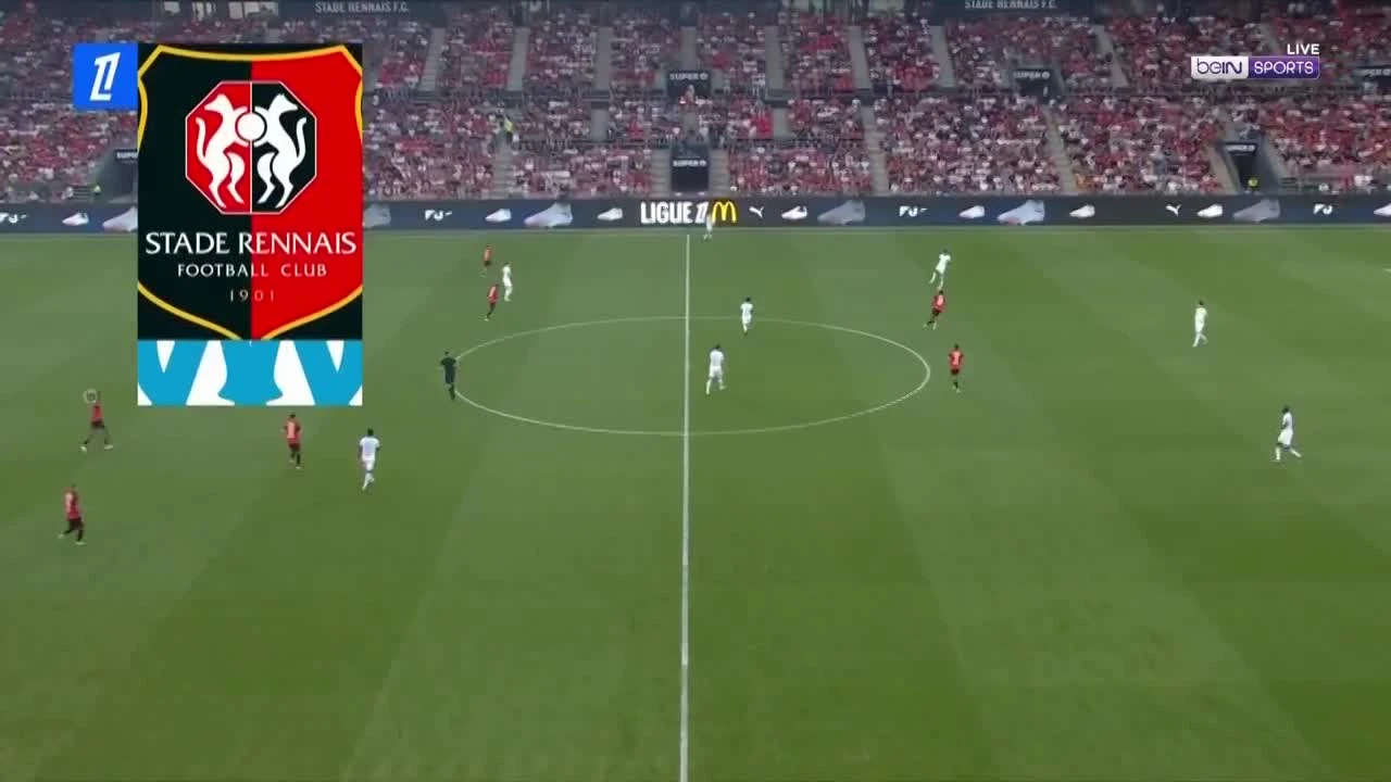 zaslepka skrotu video