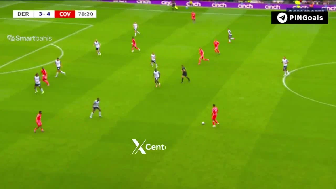 zaslepka skrotu video