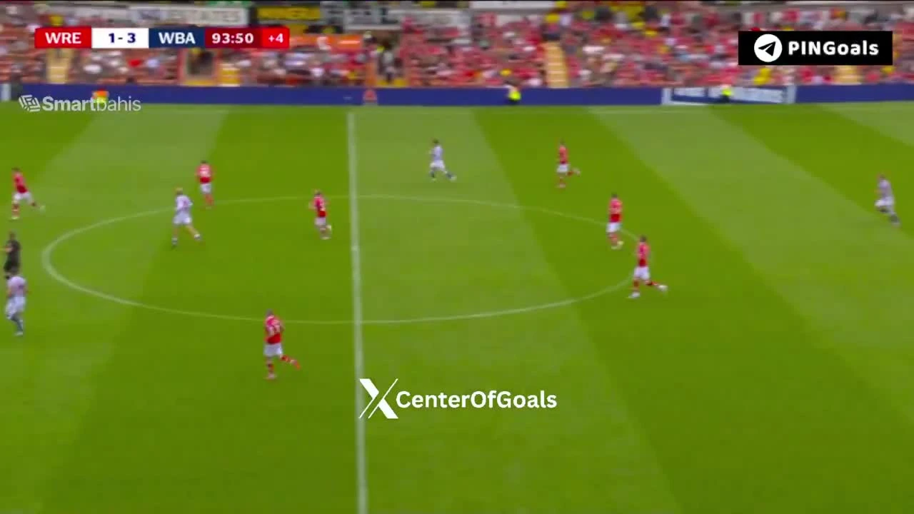 zaslepka skrotu video